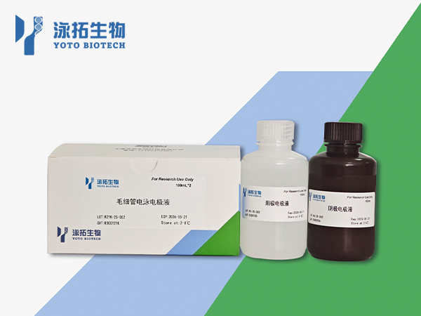 毛细管电泳电极液